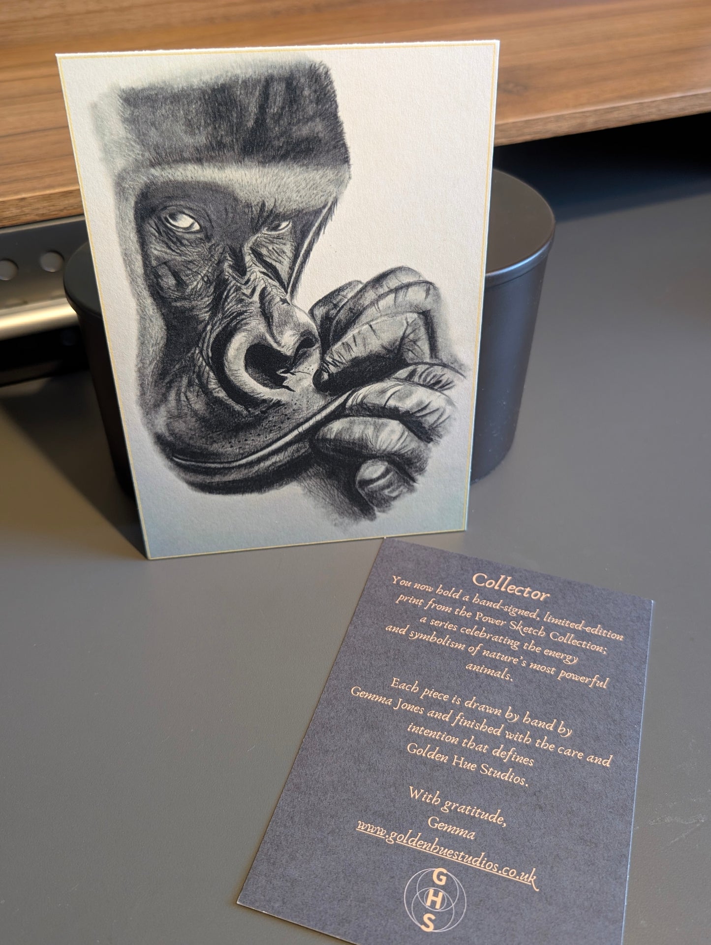 Power Sketch Series - Hand drawn limited edition prints