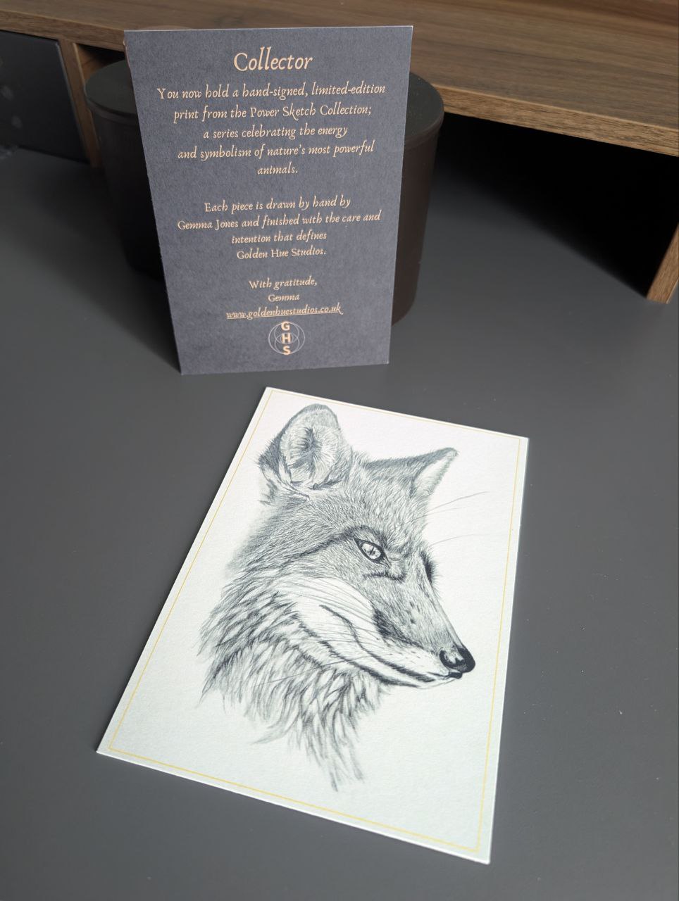 Fox Power Sketch Series - Hand drawn limited edition prints